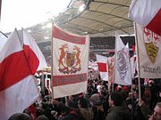 21_02_09 _VfB_Hoffenheim042